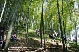 ◎たけのこ掘り体験（５歳児）